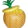 Ananas cooler