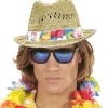 Beach Boys stråhat