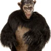 Chimpanse maske