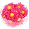 Dekorative blomster, pink