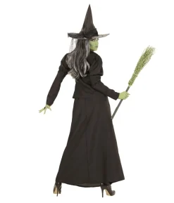 Fairytale Witch kostume