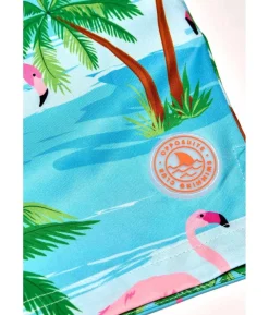 Flamingo badeshorts