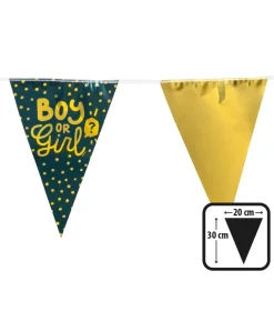Gender reveal - Boy or Girl vimpelguirlande, 6 m