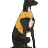 Græskar kostume til hund