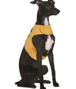 Græskar kostume til hund