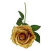 Guld rose, 50 cm