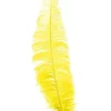 Gule strudsefjer 35-45 cm, 12 stk