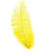 Gule strudsefjer 30 cm, 12 stk