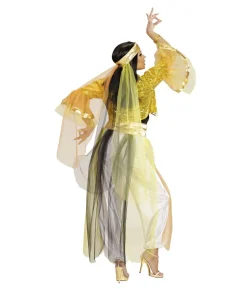 Harem Danser kostume