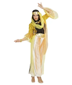 Harem Danser kostume