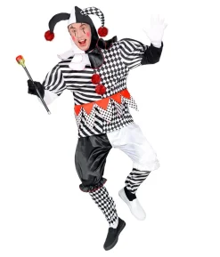 Harlequin nar kostume