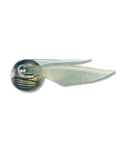 Harry Potters Golden Snitch