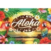 Hawaii Aloha banner