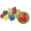 Hawaii blomster