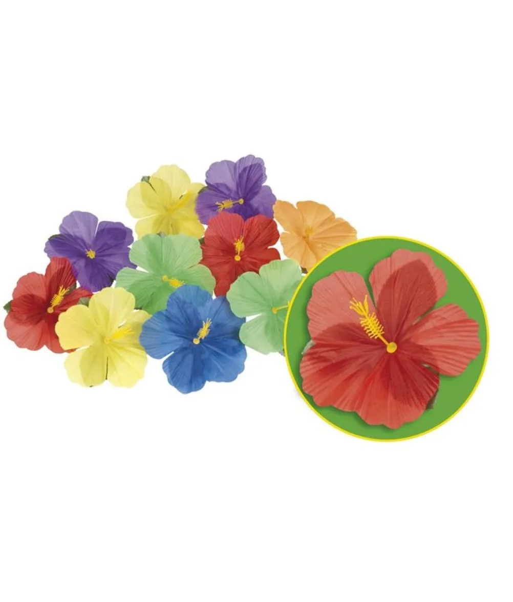 Hawaii blomster