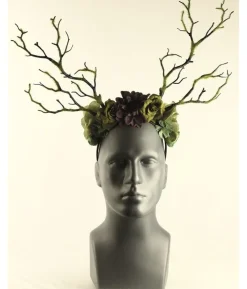 Hårbøjle blomster og grene