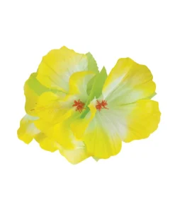 Hårblomst med klemme