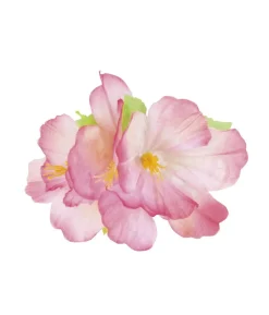Hårblomst med klemme