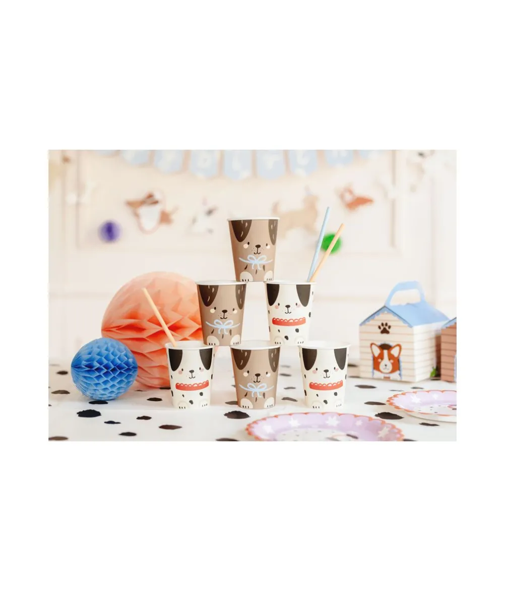 Hunde papkrus, 6 stk