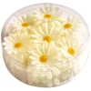 20 hvide margueritter