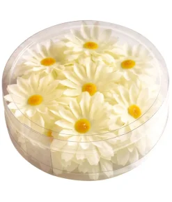 20 hvide margueritter
