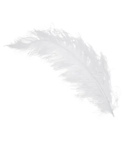 Hvide strudsefjer 60 cm, 12 stk