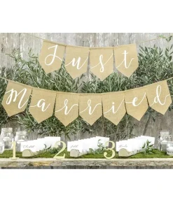 Just Married banner