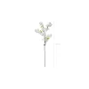 Kirsebærgren med blomst, 1 stk