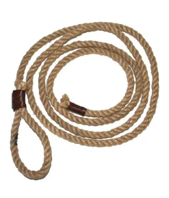 Lasso