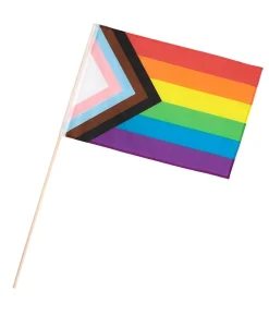 LGBTQ+ flag på pind