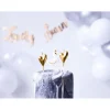Lovely swan kagelys
