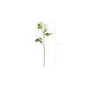 Lys creme rose, 1 stk