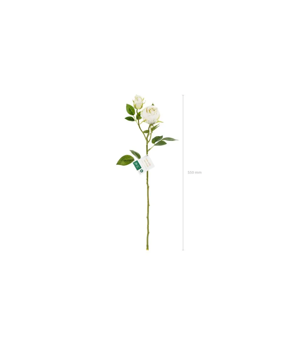 Lys creme rose, 1 stk