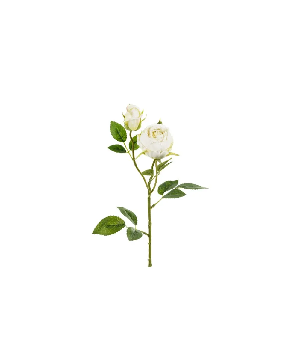 Lys creme rose, 1 stk