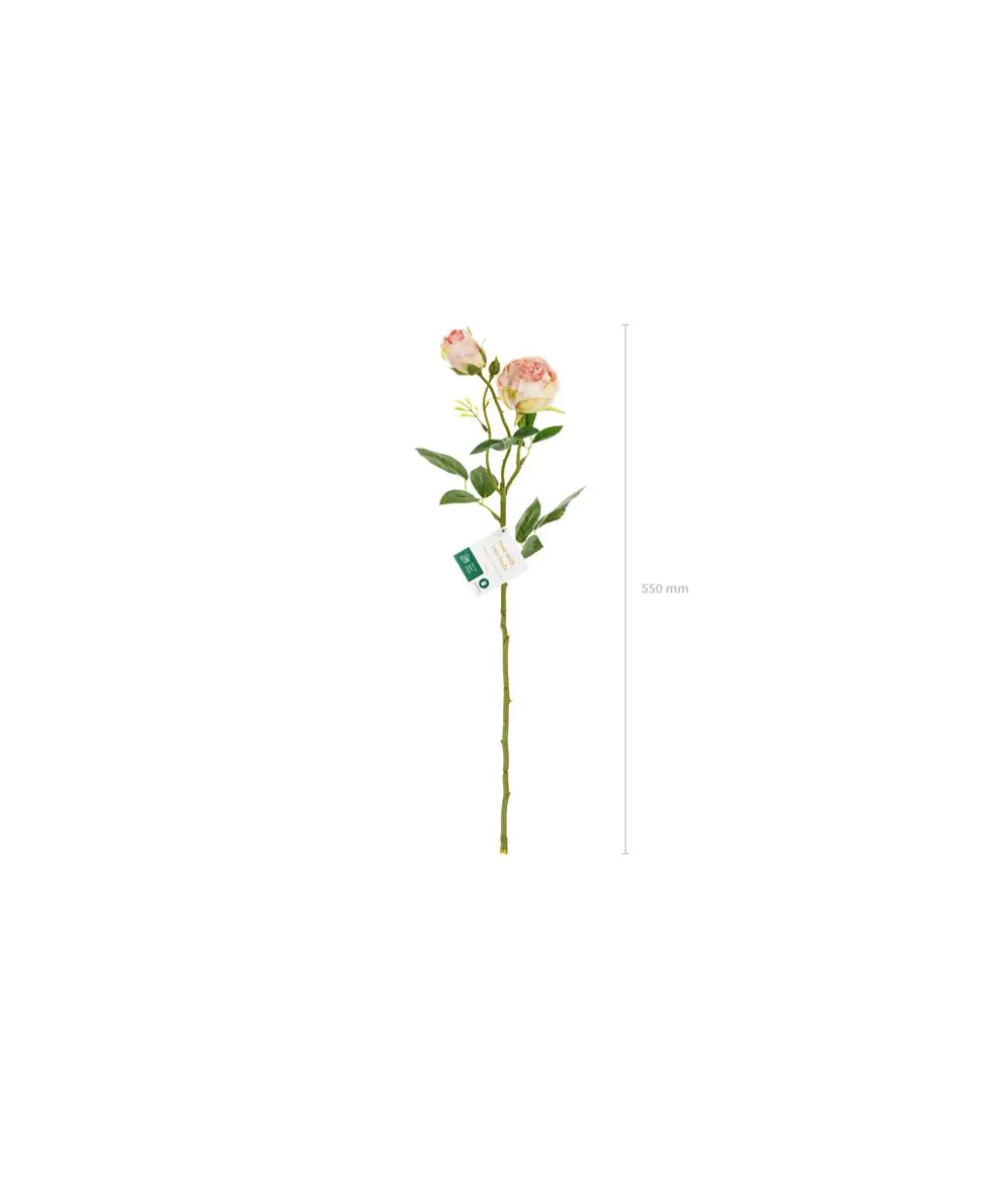 Lys rosa rose, 1 stk