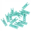 Mint grønne mini klemmer