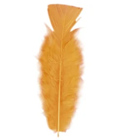 Orange fjer, 50 stk