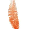 Orange strudsefjer 35-45 cm, 12 stk