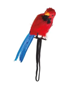Papegøje til skulder