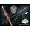 Professor McGonagall tryllestav
