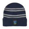 Ravenclaw hue og handsker, voksen