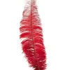 Røde strudsefjer 35-45 cm, 12 stk