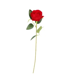 Rød rose, 50 cm