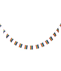 Regnbue flagguirlande, 6 m.