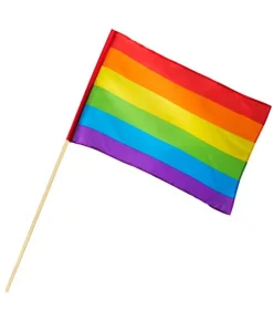 Regnbue flag på pind