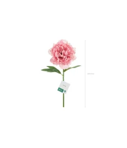 Rosa Bonderose, 1 stk