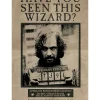Sirius Black Wanted plakat
