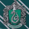 Slytherin slips, barn