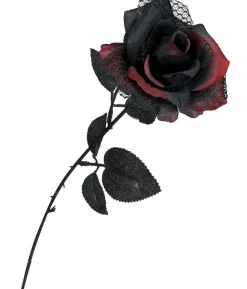 Sort og rød rose