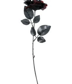 Sort og rød rose
